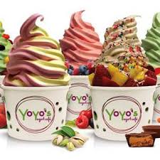 YOYOS FROZEN YOGURT FUNDRAISER!